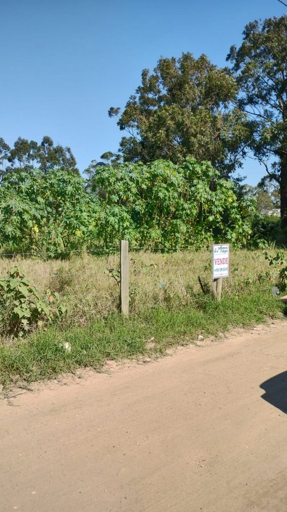 Terreno - Venda - Portinho - Laguna - SC